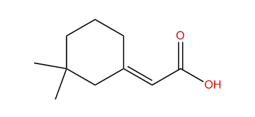 (E)-2-(3,3-Dimethylcyclohexylidene)-acetic acid